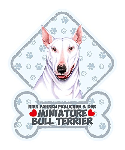 SAB - Cartel para perro con ventosas para el parabrisas del coche Miniature Bull-TERIER 36