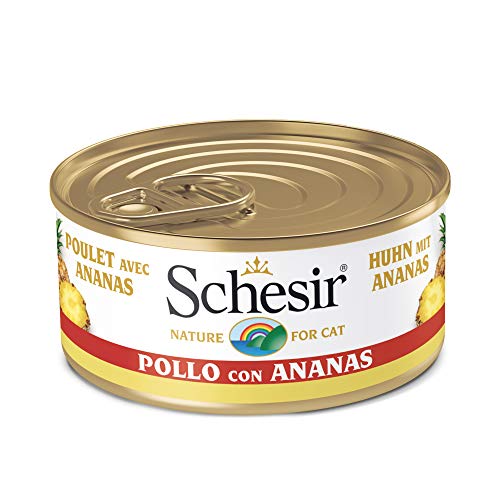 Schesir, Comida húmeda para Gatos Adultos, Sabor filetes de Pollo con piña en gelatina Blanda con Verdaderos trozos de Fruta - Total 1,8 kg (24 latas x 75 gr)