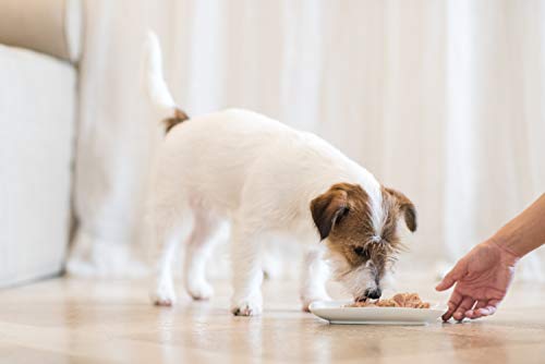 Schesir, Comida húmeda para Perros Adultos, Sabor bacoreta en gelatina Blanda - Total 2,7 kg (18 latas x 150 gr)