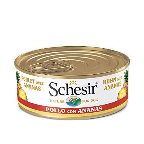 Schesir, Comida húmeda para Perros Adultos, Sabor Pollo con piña Preparado con filetes en gelatina con Verdaderos trozos de Fruta - Total 2,7 kg (18 latas x 150 gr)