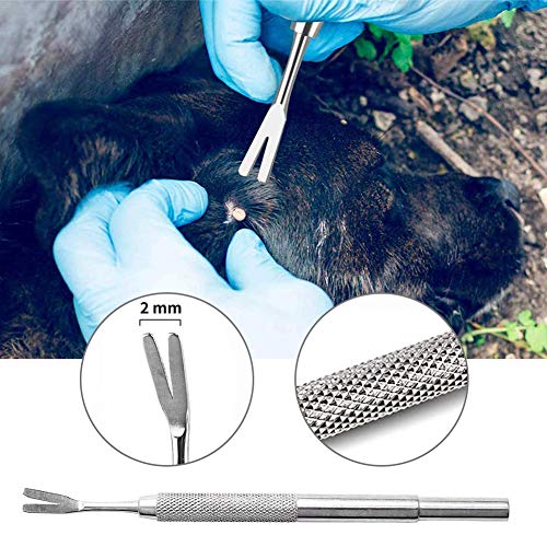 SCOBUTY Pinza Garrapatas, Herramientas de Eliminación de Garrapatas, Pinzas para garrapatas para Perro/Gato/Hombre en Set de 4 Premium Tick Remover + Caja de Almacenamiento