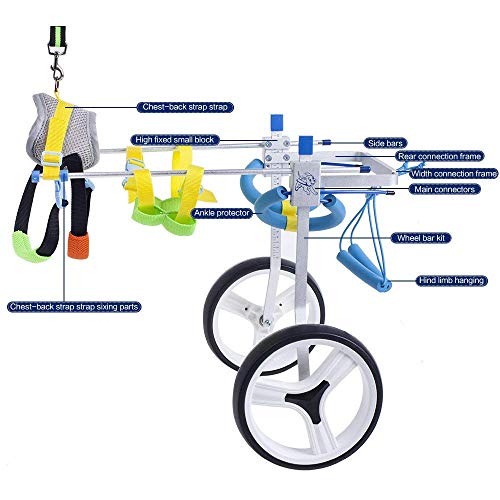 SehrGo Silla de ruedas para perros ajustable, Altura de cadera 7"-20", Peso de 8 a 55 lb, Rehabilitación de patas traseras, Carro para perros de 2 ruedas (M)