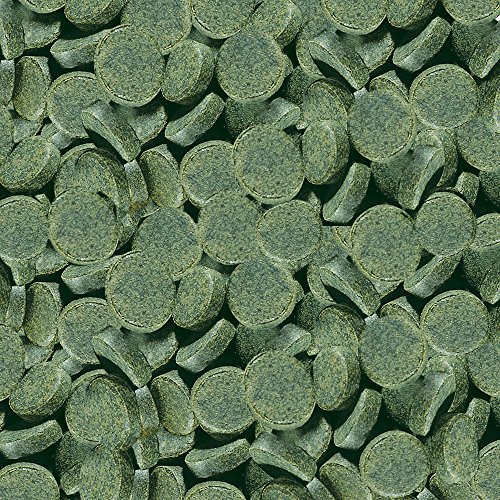 Sera Spirulina Tabs (24 pastillas)