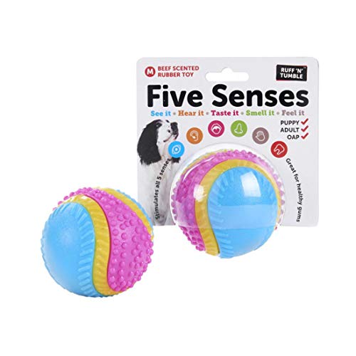 Sharples Five Senses, Pelota con Aroma de Carne de Vaca para Perros