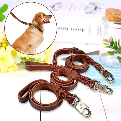 Sheens Suave Correas para Perros Estándar Correa para Perros Traje Trenzado Trabajo Pesado para Perros Grandes y medianos(2.5 * 150 cm)