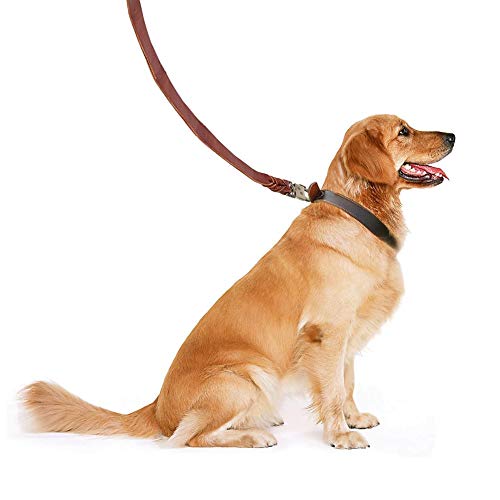 Sheens Suave Correas para Perros Estándar Correa para Perros Traje Trenzado Trabajo Pesado para Perros Grandes y medianos(2.5 * 150 cm)