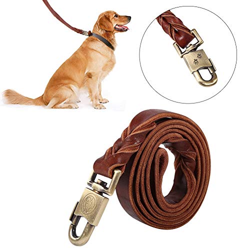 Sheens Suave Correas para Perros Estándar Correa para Perros Traje Trenzado Trabajo Pesado para Perros Grandes y medianos(2.5 * 150 cm)