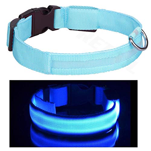 Shih Tzu - Collar para perro con luz LED azul, tamaño S, recargable, luz de seguridad, luz y cable de carga USB