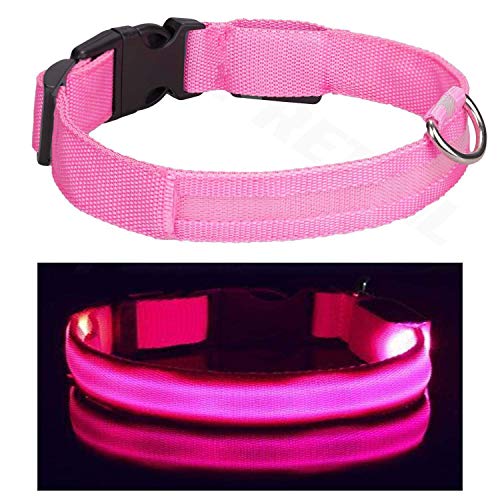 Shih Tzu - Collar para perro con luz LED rosa y cable de carga USB recargable, luz de seguridad, iluminado