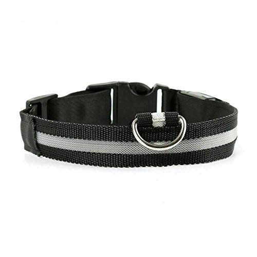 Shih Tzu - Collar para perro (LED, USB, recargable, con luz de seguridad, iluminado, cable de carga USB), color negro