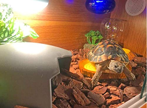 SHYOD Pantalla de Mascota a casa Animal Gabinete, Anti-escaldar hibernación Incubadora de la Tortuga de la Serpiente del Reptil Hamster Casas 40CM / 50CM Jaula (Tamaño: 50 * 30 * 32 cm) zhangxu