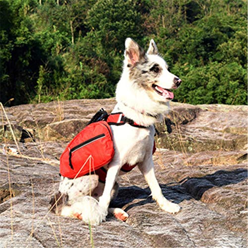 Simis Mochila para Perro 2 en 1 Mochila Desmontable para Mochila para Perros medianos y Grandes para excursiones de Senderismo Paquete de Viaje para Acampar Accesorios para Caminatas al Aire Libre,M