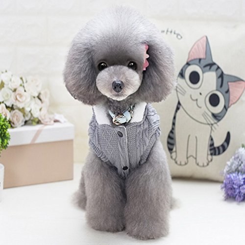 SMALLLEE_LUCKY_STORE Chaqueta de suéter para Perros Chaqueta de Clima frío Chaqueta para Perros con Capucha Chihuahua Ropa de Invierno para Perros pequeños Ropa de Abrigo Gris L