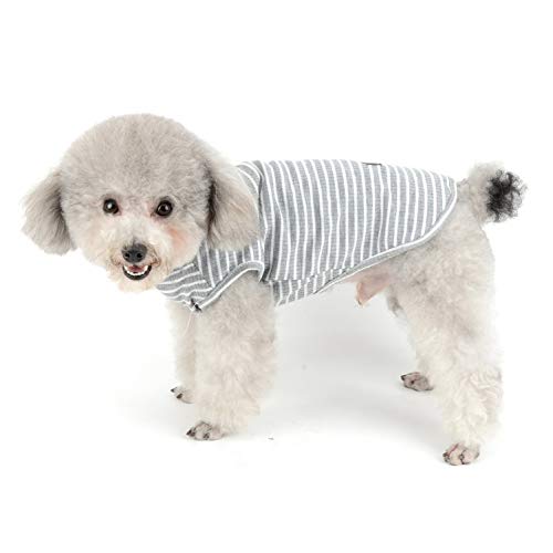 SMALLLEE_LUCKY_STORE Ropa para Mascotas