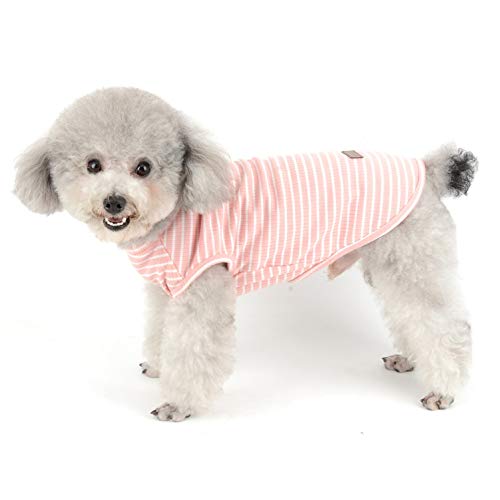 SMALLLEE_LUCKY_STORE Ropa para Mascotas