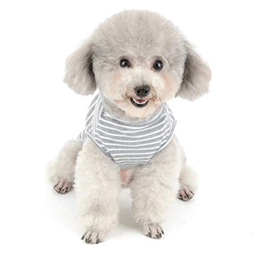 SMALLLEE_LUCKY_STORE Ropa para Mascotas