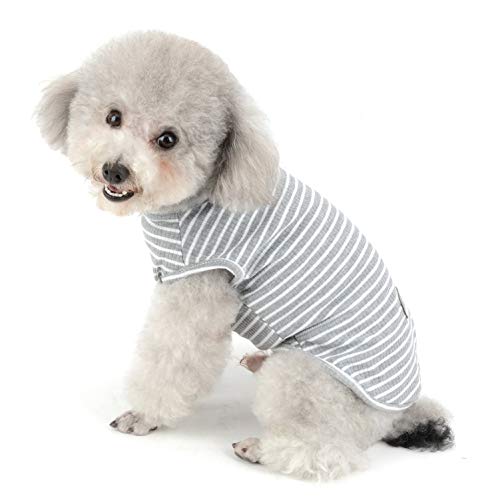 SMALLLEE_LUCKY_STORE Ropa para Mascotas