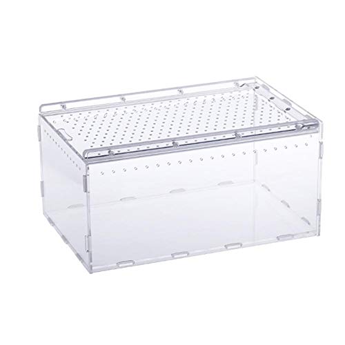 SNIIA Caja de Reptiles Transparente Acrílico Tanques de cría de Reptiles Terrario para Rana Serpiente Lagarto - 15X20X30cm Carefully transferable