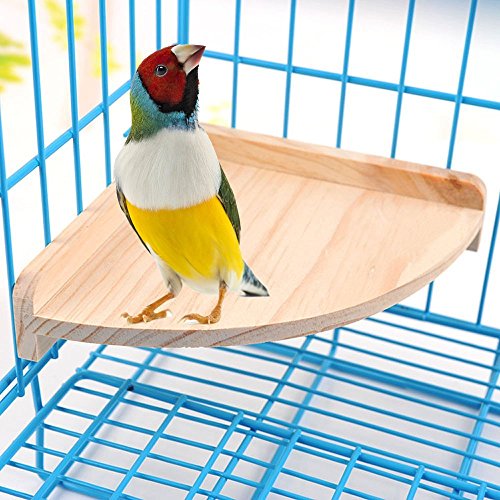 Soporte de madera para perca de pájaros para animales pequeños, loro, paracaídas, conecto, gérlibo, rata, rata, chinchilla, jaula de hámster y accesorios para ejercicio, juguetes y sector