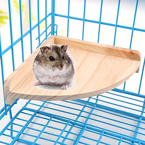 Soporte de madera para perca de pájaros para animales pequeños, loro, paracaídas, conecto, gérlibo, rata, rata, chinchilla, jaula de hámster y accesorios para ejercicio, juguetes y sector