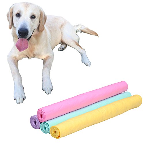 Sotoboo - Toalla para Perro, Muy Absorbente, tamaño Grande, Secado rápido, Toalla Absorbente de Toalla para Perros, Gatos