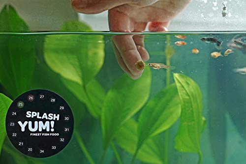 SplashYum! Tabletas para Peces de Fondo de Acuario para Todos los Peces Ornamentales con L-carnitina, lecitina, ácido fólico Comprimidos para Pleco Corydoras Barbel loaches succionando bagre