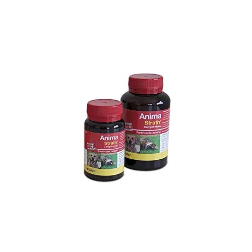 Stangest Anima Strath 240Cpd 500 g