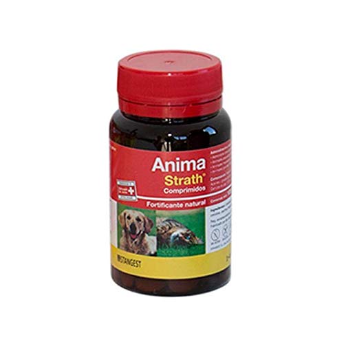 Stangest Anima Strath 240Cpd 500 g