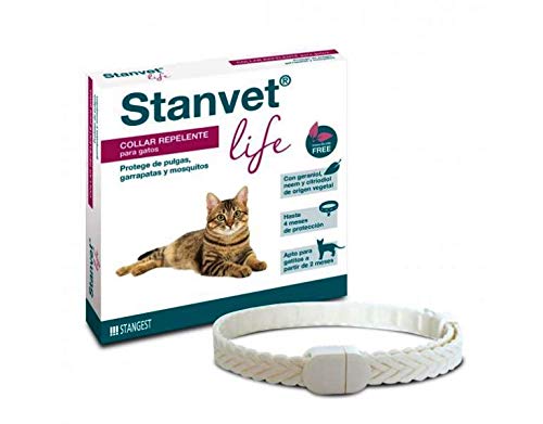 Stangest Collar Stanvet Life Gatos 1U 1 Unidad 100 g