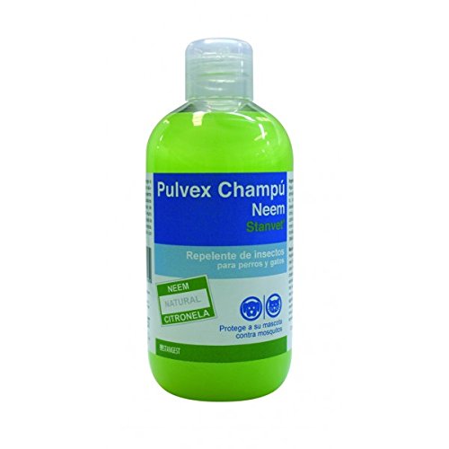 Stangest Pulvex Champu 250Ml 1 Unidad 250 g