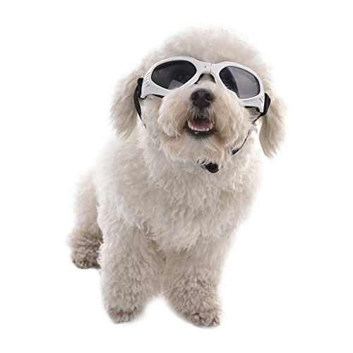 Sue Supply Gafas de sol para perro, gafas de sol doradas con diseño de perro y gafas de sol