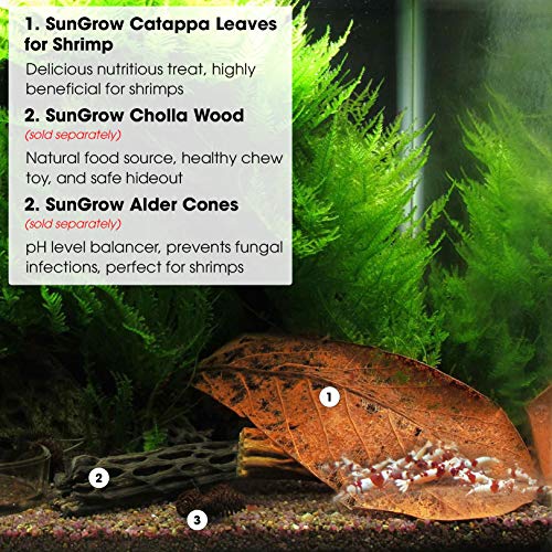 Sungrow Catappa Shrimp Leaves, 18-23 Cm, Proporciona Refugio Y Alimento, Fuente Adicional De Nutrición, Perfecta Para Empollar Y Esconderse, Hojas De Catappa Horneadas Al Sol, Paquete De 10