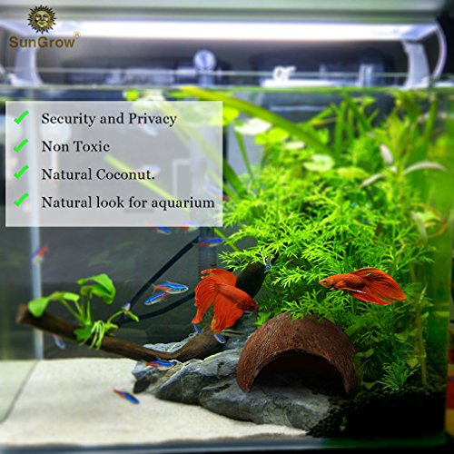 SunGrow Luffy - Pelotas de Betta: Planta de Marimo, Forma Redonda, Juguetes Naturales para Peces Betta: Seguro para el Acuario