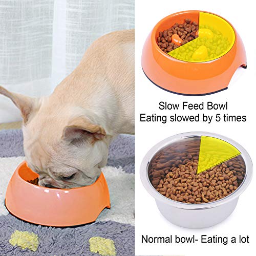 Super Design Comedero Lento en Melamina, Comedero Antivoracidad Antideslizante para Perros y Gatos, Ralentizar la Comida