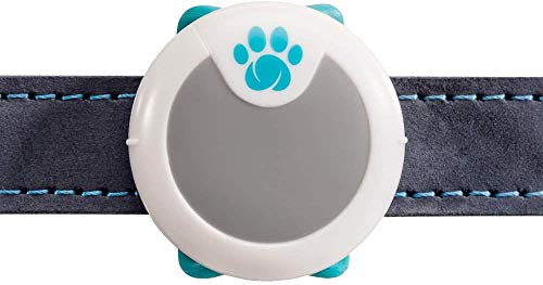 Sure Petcare Animo - Monitor de Comportamiento y Actividad para Perros