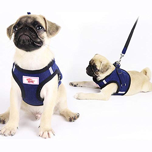 SYQY Harnais de Gilet de Chien de compagnie respirant Coupe-Vent pour Petits Chiens de Taille moyenne Voyage chiot Carlin harnais laisse Ensemble -Bleu_Combinaison en L 5,0-7,0 kg