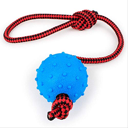 Taagey - Pelota de masticar para mascotas, juguete interactivo de goma, juguete para perros, juguete para masticar al aire libre, resistente a mordidas