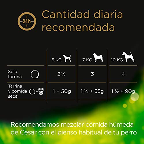 Tarrina para perro de Recetas de la huerta en paté y gelatina de 150g (Pack de 14)