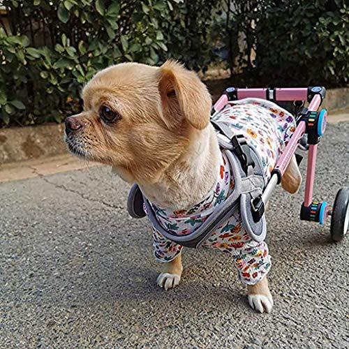 TELLMNZ Silla de Ruedas Ajustable para Mascotas, 2 Ruedas, remolques de Bicicleta para Perros, Deportes y Aire Libre para discapacitados, Patas traseras, Cachorro, Gato, Patas traseras, rehabilitaci