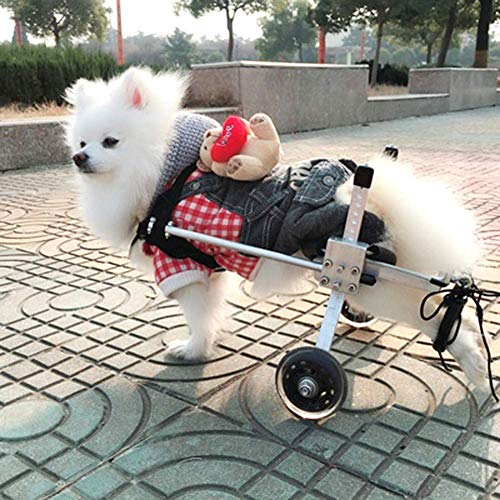 TELLMNZ Silla de Ruedas Ajustable para Perros, 6 tamaños para rehabilitación de Patas Delanteras/traseras, Silla de Ruedas de 2 Ruedas para Patas traseras Ruedas de Carro para Perros Ligeras, plat