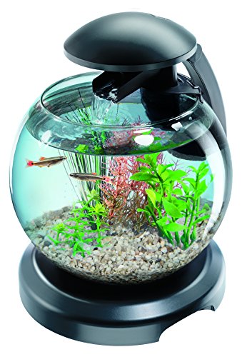 Tetra Cascade Globe black