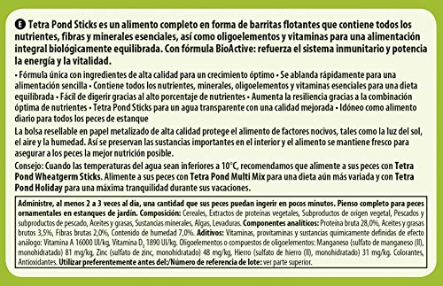 Tetra Pond Sticks 15 L - Alimento para peces de estanque, para peces sanos y agua clara, diferentes tamaños