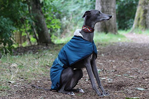 The Trendy Whippet Chubasquero Impermeable con Forro de Forro Polar, Color Azul, con Correa de Clip Ajustable a Juego, Verdugo Italiano, mirlo