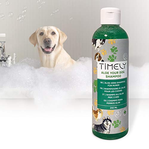 Timely - Aloe Your Dog, champú delicado para perros de pelo suave (pack de 4 x 250 ml)