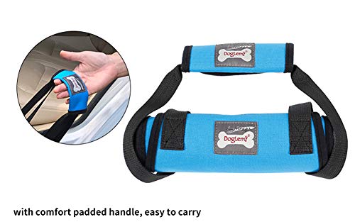 Tineer Arnés para Levantar Perros para Perros de Edad Avanzada o discapacitados - Soporte Sling Ayuda Posterior Piernas débiles Levántese, camine, suba escaleras (S, Azul)