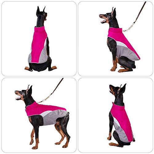 Tineer Chaleco Reflectante Impermeable Mascota Perro Cachorro Ropa Chaqueta Al Aire Libre Cálido Invierno Perros Ropa Abrigo para Pequeño Mediano Grande Chaleco Chaqueta de Abrigo (XXXL, Rose)