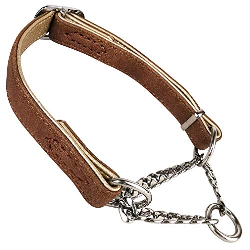 Tineer Collar de Cuero de Perro de Cachorro para Mascotas Collar de martingala para Perros, Cadena de Acero Inoxidable Duradera para Perros pequeños de Razas Medianas (M(Neck:13.0-18.5''), marrón)