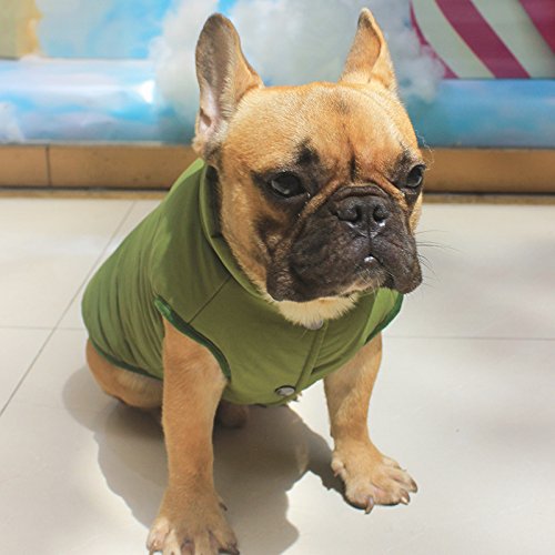 Tineer con Capucha Linda Chaqueta de la Capa del Animal doméstico del Perro de Perrito Ropa de Invierno Bulldog francés con Capucha Caliente Juego del Chaleco (XXL, Verde)