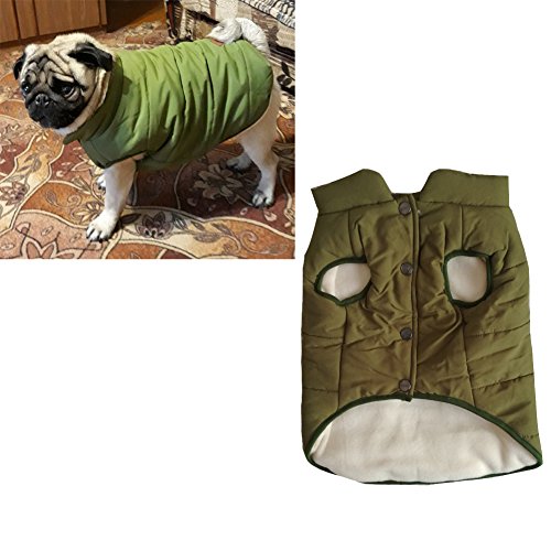 Tineer con Capucha Linda Chaqueta de la Capa del Animal doméstico del Perro de Perrito Ropa de Invierno Bulldog francés con Capucha Caliente Juego del Chaleco (XXL, Verde)