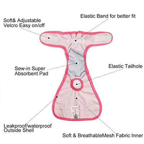 Tineer Lavable Pañales para Perros Perros Reutilizables Fisiológicos Piel fisiológica a Prueba de Fugas Pantalón para Perras (Paquete de 3) (XS)